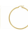 Apollo Hoops - 14K Gold