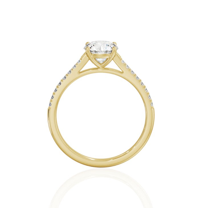 Aria Engagement Ring (Setting Only)